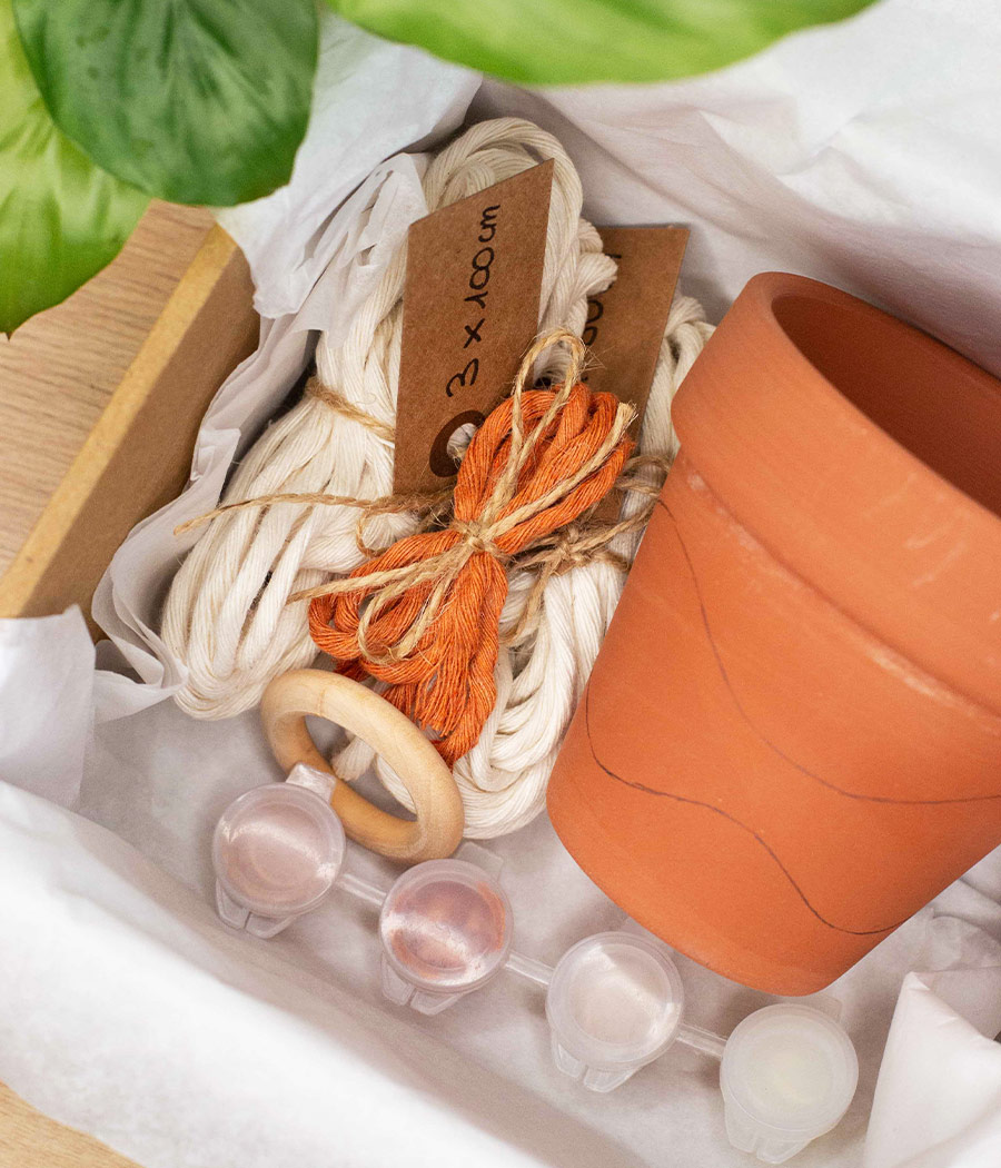 Box DIY pot de fleurs et macramé